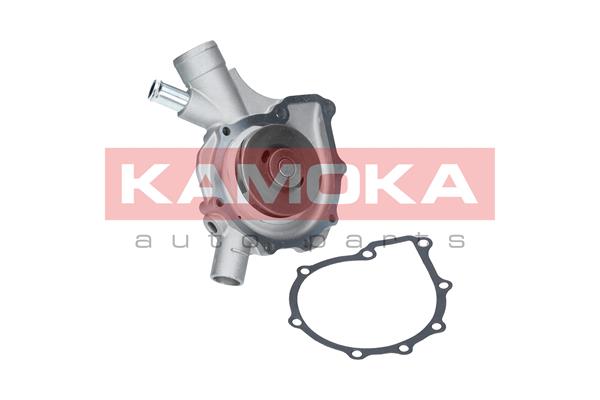 KAMOKA T0197 Water Pump,...