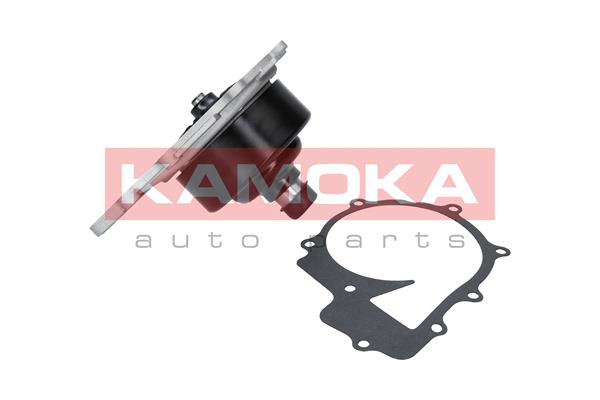 KAMOKA T0200 Water Pump,...