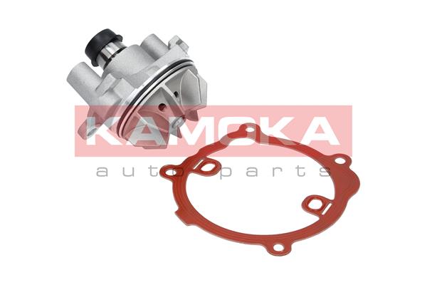 KAMOKA T0216 Water Pump,...