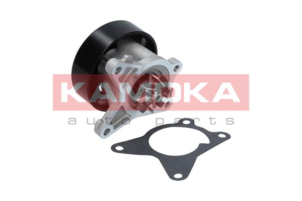 KAMOKA T0223 Water Pump,...