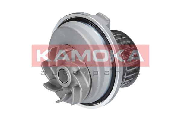 KAMOKA T0229 Water Pump,...