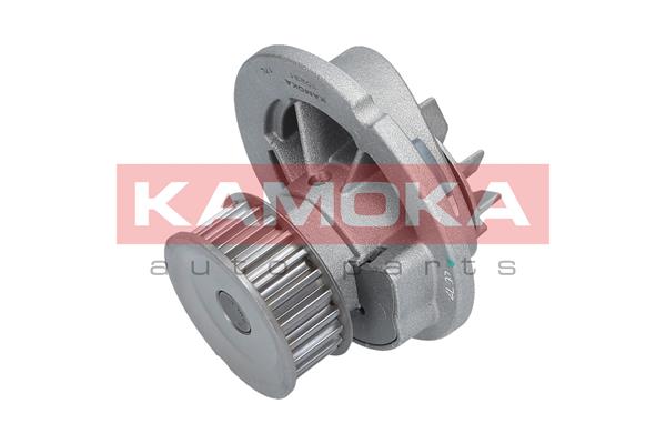 KAMOKA T0231 Water Pump,...