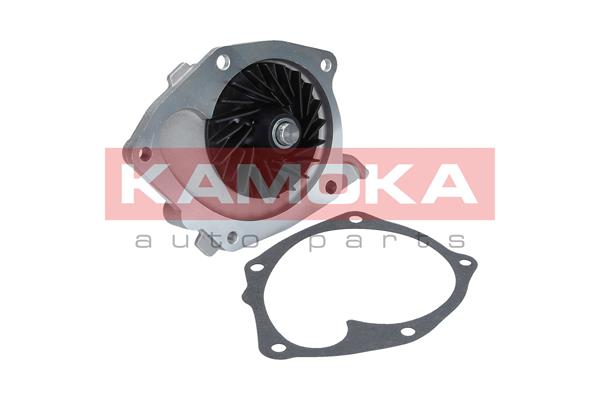KAMOKA T0245 Water Pump,...