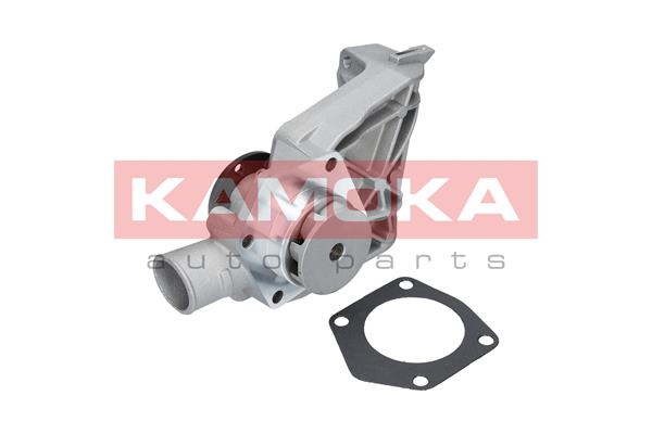 KAMOKA T0250 Water Pump,...