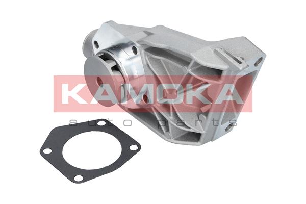KAMOKA T0250 Wasserpumpe, Motorkühlung
