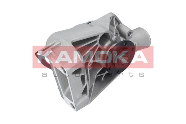 KAMOKA T0250 Wasserpumpe, Motorkühlung