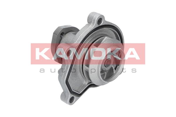 KAMOKA T0252 Water Pump,...
