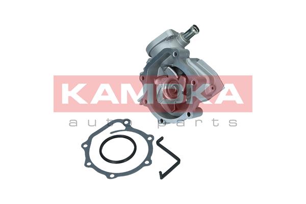 KAMOKA T0260 Water Pump,...