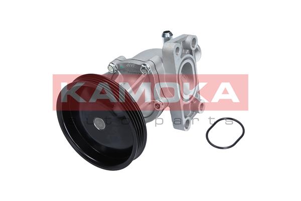 KAMOKA T0276 Water Pump,...