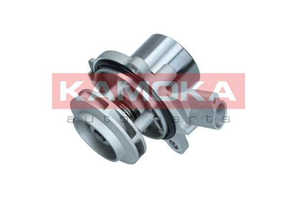 KAMOKA T0280 Water Pump,...