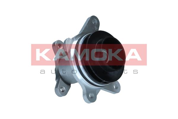 KAMOKA T0297 Water Pump,...