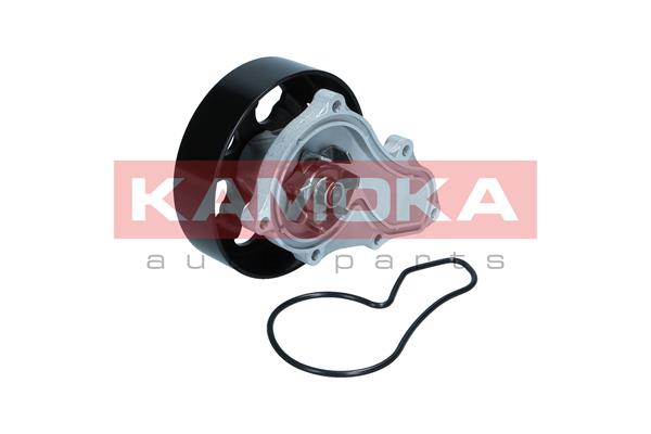 KAMOKA T0304 Water Pump,...
