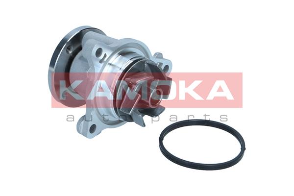 KAMOKA T0310 Water Pump,...