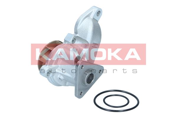 KAMOKA T0315 Water Pump,...