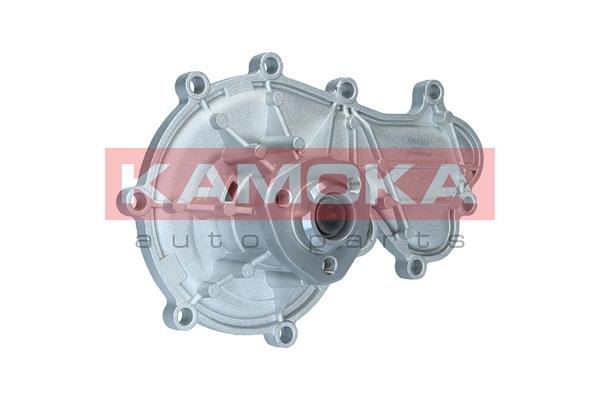 KAMOKA T0317 Water Pump,...