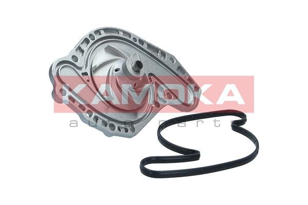 KAMOKA T0321 Water Pump,...