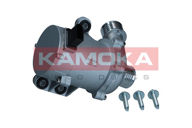 KAMOKA T9002 Water Pump,...
