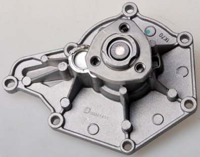 DENCKERMANN A310956P Water...