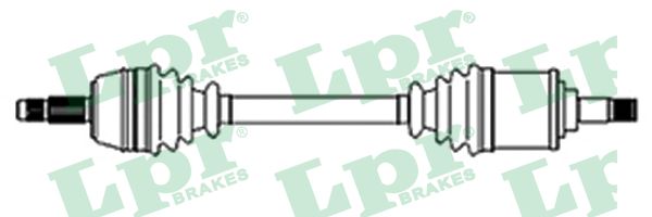 LPR DS21036 Albero motore/Semiasse