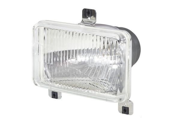 HELLA 1AB 003 177-611 Insert, headlight Left Right