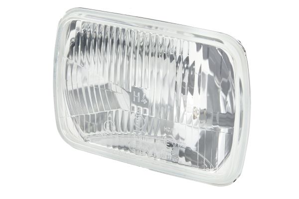 HELLA 1LE 003 427-041 Insert, headlight Left Right
