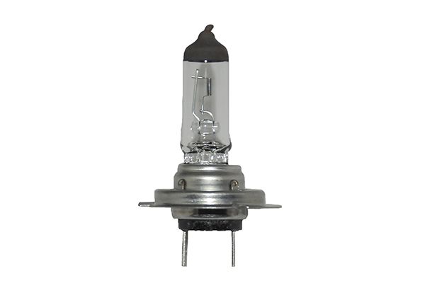 HELLA 8GH 358 267-051 Bulb, front fog light