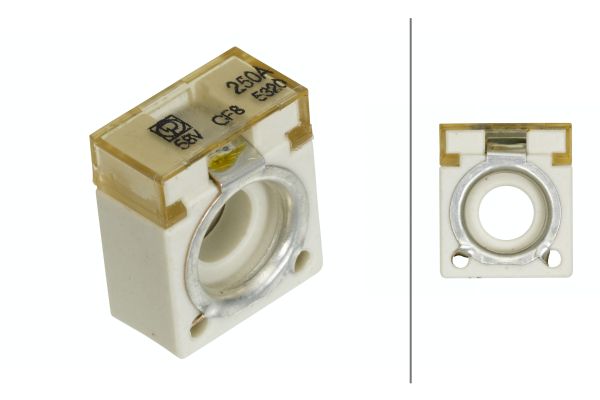 HELLA 8JS 747 876-071 Fuse