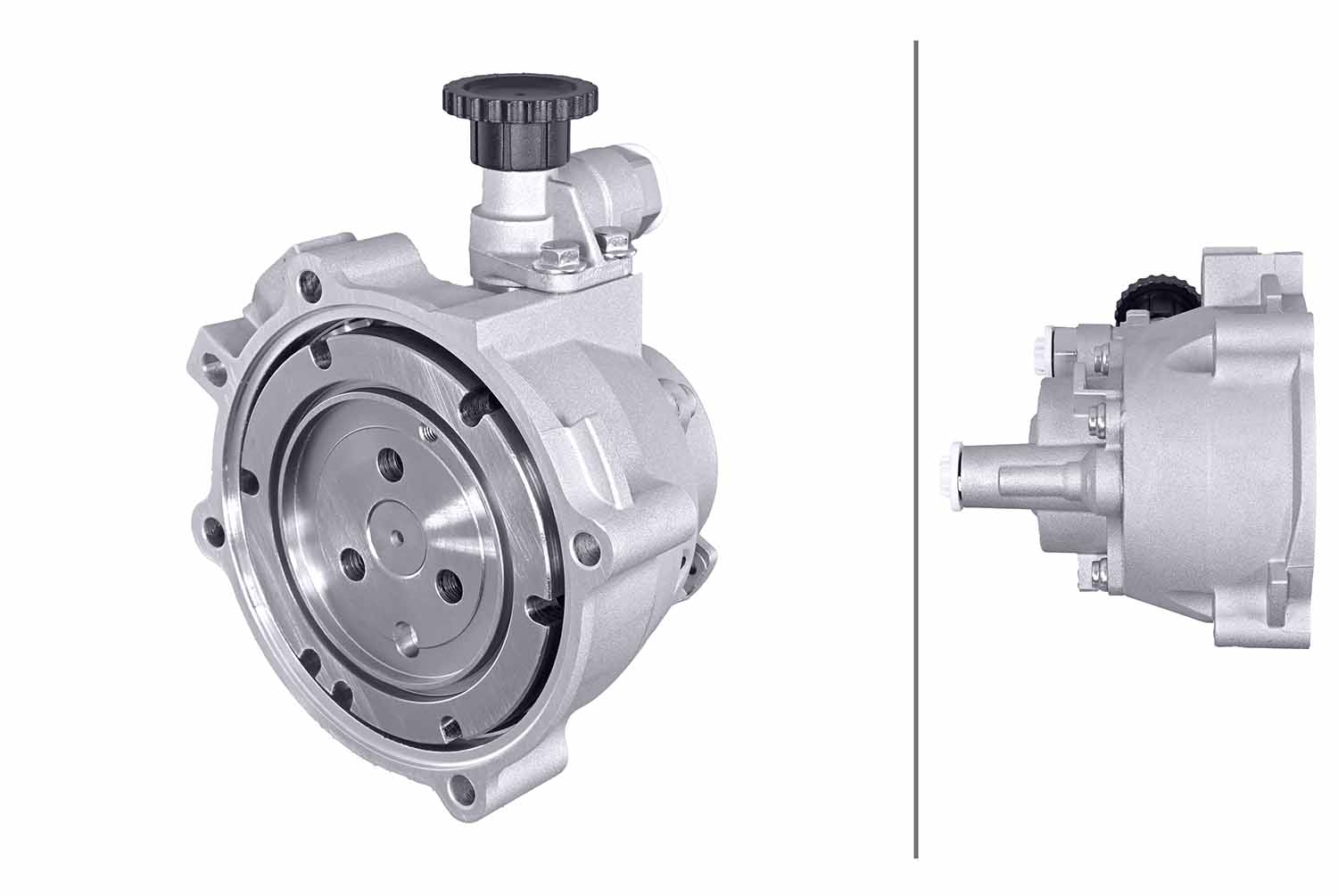 HELLA 8TP 358 308-491 Pump, fuel pre-supply for DAF