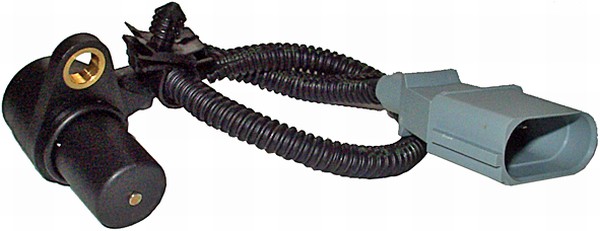 NGK 81012...