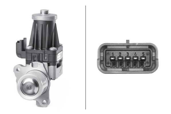 HELLA 6NU 010 171-181 Valvola ricircolo gas scarico-EGR