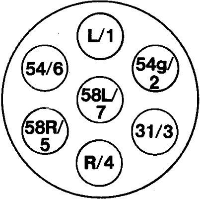 HELLA 8JB 001 941-002 Presa corrente