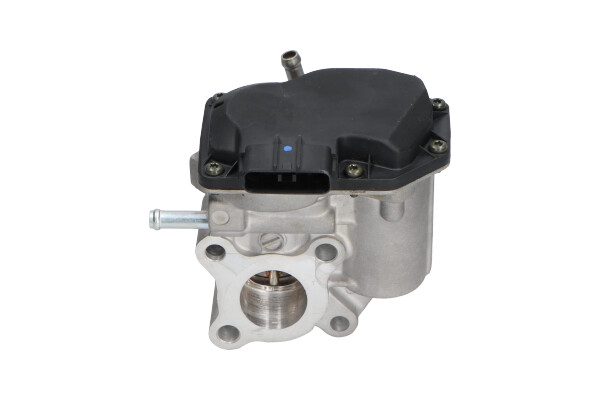 KAVO PARTS EEG-9022 Βαλβίδα AGR for TOYOTA