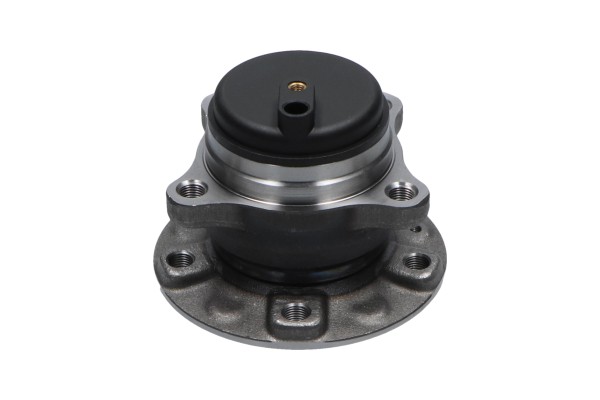 KAVO PARTS WBK-10077 Súprava ložísk kolesa
