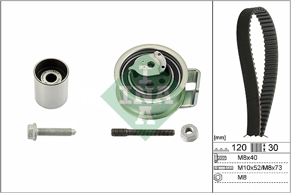 INA 530 0176 10 Kit cinghie dentate