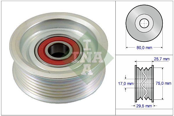 INA 532 0587 10 Galoppino/Guidacinghia, Cinghia Poly-V