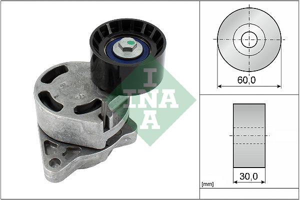 INA 534 0181 10 Braccio tenditore, Cinghia Poly-V