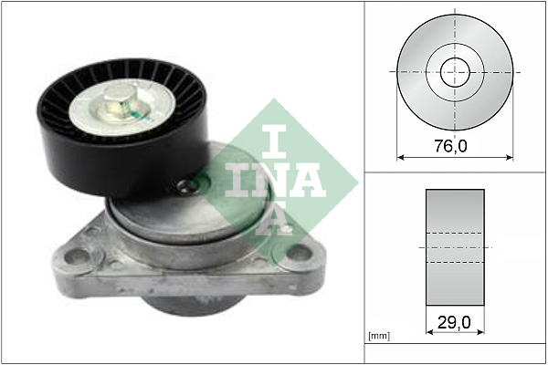 INA 534 0290 10 Braccio tenditore, Cinghia Poly-V