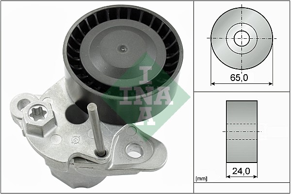 INA 534 0480 10 Braccio tenditore, Cinghia Poly-V