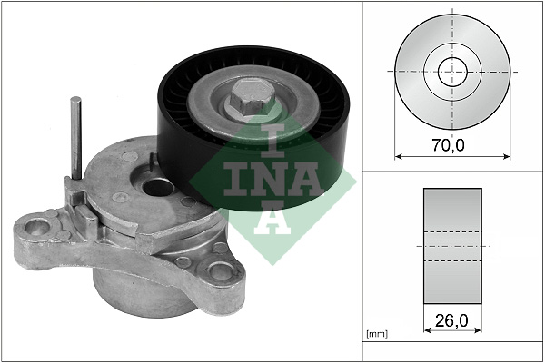 INA 534 0666 10 Tendicinghia, Cinghia Poly-V