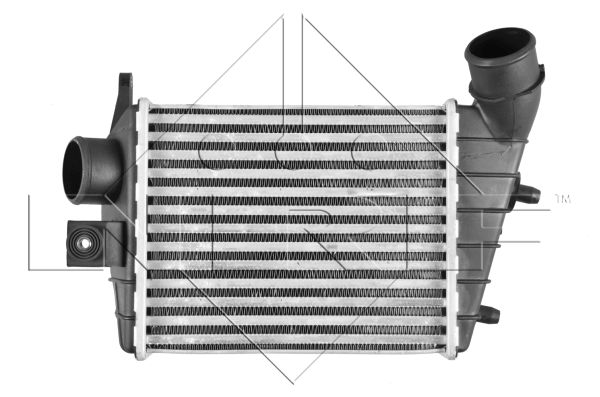 NRF 30123 Intercooler-Intercooler-Ricambi Euro