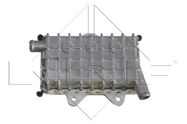 NRF 31180 Radiatore olio, Olio motore