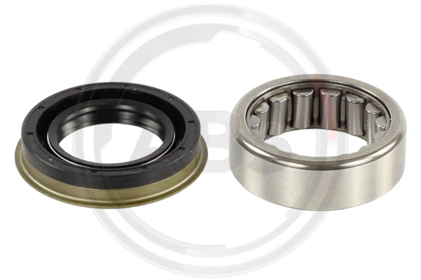 A.B.S. 201816 Radlagersatz