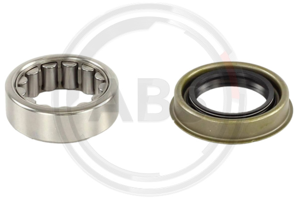 A.B.S. 201817 Radlagersatz