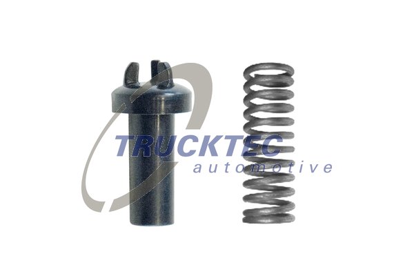 TRUCKTEC AUTOMOTIVE 01.43.163 Ελατήριο, βαλβίδα πίεσης λαδιού, αντλία λαδιού for MERCEDES-BENZ
