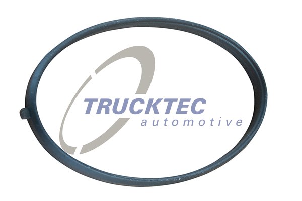 TRUCKTEC AUTOMOTIVE 02.16.055 Τσιμούχα, περίβλημα πολλαπλής εισαγωγής for MERCEDES-BENZ