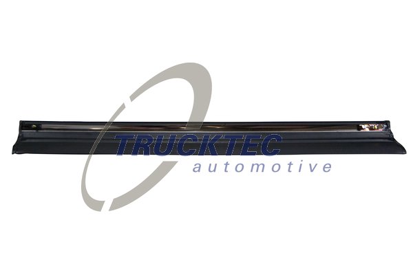 TRUCKTEC AUTOMOTIVE 02.52.109 Διακοσμητική/προστατευτική λωρίδα, πόρτα επάνω πίσω αριστερά for MERCEDES-BENZ