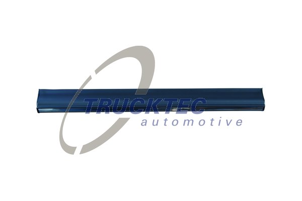 TRUCKTEC AUTOMOTIVE 02.52.111 Διακοσμητική/προστατευτική λωρίδα, πόρτα κάτω πίσω δεξιά for MERCEDES-BENZ