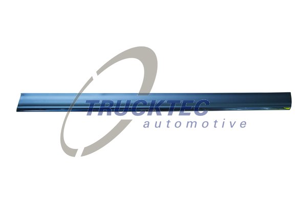 TRUCKTEC AUTOMOTIVE 02.52.134 Διακοσμητική/προστατευτική λωρίδα, πόρτα κάτω μπροστά δεξιά for MERCEDES-BENZ