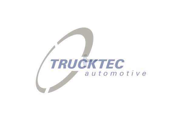 TRUCKTEC AUTOMOTIVE 02.67.167 Κλιπ