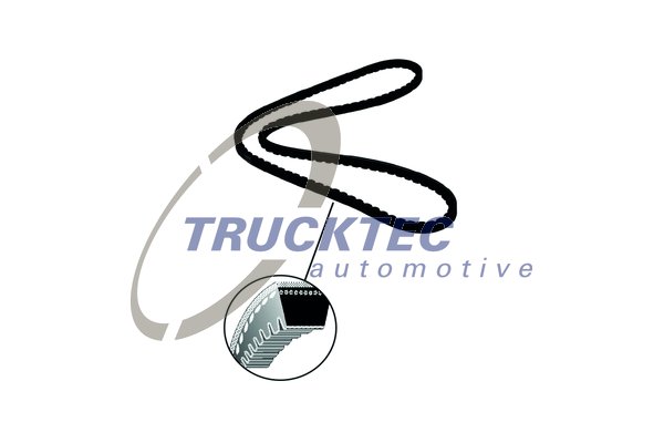 TRUCKTEC AUTOMOTIVE 03.19.009 V-Belt for DAF FORD ISUZU IVECO MAN MERCEDES-BENZ MITSUBISHI NISSAN OPEL RENAULT TRUCKS SCANIA VAU